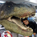 ���������� ����������, ���� ������� �������, 45 ���, ������������ ��� ����� � ���������, c�������� ���������