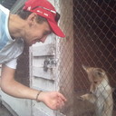   ,   , 38 ,   ,   , c 