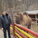 ���������� ������, ���� ������� Alqis, 44 ����, ������������ ��� ������, c�������� ���������