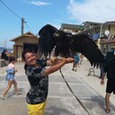  ,   , 41 ,     , 