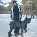 ���������� �����, ���� ������� ���������, 51 ���, ������������ ��� ����� � ���������, c�������� ���������