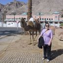 ���������� �����������, ���� ������� ��������, 50 ���, ������������ ��� ������