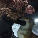 ���������� ���������, ���� ������� ���������, 31 ���, ������������ ��� ������, ����� � ���������, ���������