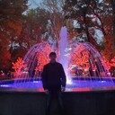 ���������� �������, ���� ������� ���������, 31 ���, ������������ ��� ������, ����� � ���������, c�������� ���������