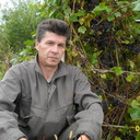  ,   , 62 ,  