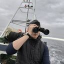 ���������� �����, ���� ������� ������, 45 ���, ������������ ��� ������, ����� � ���������, c�������� ���������