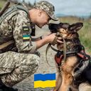 ���������� ����, ���� ������� ����, 30 ���, ������������ ��� ������, ����� � ���������