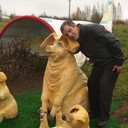 ���������� �������, ���� ������� ������, 55 ���, ������������ ��� c�������� ���������