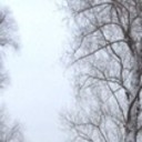 ���������� ������, ���� ������� ������, 36 ���, ������������ ��� ������, ����� � ���������, c�������� ���������