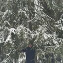 ���������� ����������, ���� ������� ������, 44 ����, ������������ ��� ������, ����� � ���������