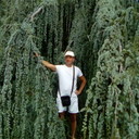   ,   , 56 ,   ,   , c 