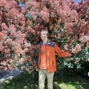 ���������� ������, ���� ������� �����, 31 ���, ������������ ��� ������, ����� � ���������