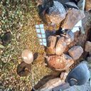 ���������� �������, ���� ������� ��������, 41 ���, ������������ ��� ������, ����� � ���������, c�������� ���������, ���������