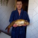  ,   , 50 ,   