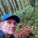  ,   , 46 ,     , c , 