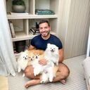 ���������� �������, ���� ������� �������, 41 ���, ������������ ��� c�������� ���������