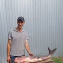 ���������� ���������, ���� ������� Fanki, 36 ���, ������������ ��� ������, ����� � ���������