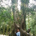 ���������� ������ ��������, ���� ������� �������, 50 ���, ������������ ��� ����� � ���������, c�������� ���������