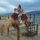 ���������� �������, ���� ������� ���, 38 ���, ������������ ��� c�������� ���������