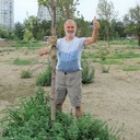  ,   , 72 ,   ,   , c 