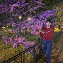 ���������� �����������, ���� ������� �������, 51 ���, ������������ ��� ����� � ���������, c�������� ���������