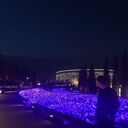 ���������� ���������, ���� ������� ����, 27 ���, ������������ ��� ������, ����� � ���������, c�������� ���������