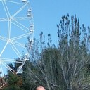 ���������� ������-��-����, ���� ������� �������, 50 ���, ������������ ��� ������, ����� � ���������