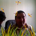 ���������� ��, ���� ������� ����, 44 ����, ������������ 