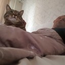  ,   , 53 ,   ,   , c 