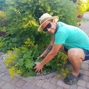 ���������� �����, ���� ������� ������, 37 ���, ������������ ��� ����� � ���������, c�������� ���������