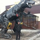 ���������� �����������, ���� ������� �������, 41 ���, ������������ ��� ����� � ���������, c�������� ���������, ���������