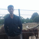 ���������� �����������, ���� ������� �����, 41 ���, ������������ ��� ������, ����� � ���������, c�������� ���������