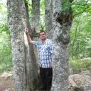 ���������� ������, ���� ������� ������, 40 ���, ������������ ��� ������, ����� � ���������