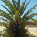 ���������� ������, ���� ������� Emilaliti, 65 ���, ������������ ��� ������, ����� � ���������, c�������� ���������