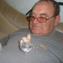  ,   , 65 ,   ,   