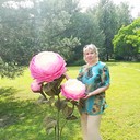 ,   , 56 ,   ,   , c 