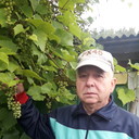 ���������� ������, ���� ������� ��������, 75 ���, ������������ ��� ����� � ���������, c�������� ���������