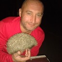 ���������� �������, ���� ������� ������, 50 ���, ������������ ��� c�������� ���������