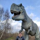 ���������� �����, ���� ������� ���������, 34 ����, ������������ ��� ������, ����� � ���������