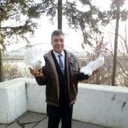 ���������� ���, ���� ������� ������, 63 ����, ������������ ��� ������, ����� � ���������, c�������� ���������