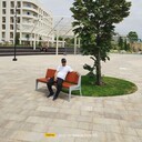  -,   , 44 ,   ,   