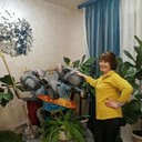  ,   , 55 ,   ,   , c 