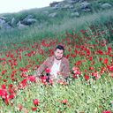 ���������� ������, ���� ������� Mahmut, 41 ���, ������������ ��� ������, ����� � ���������