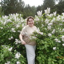 ���������� ����������, ���� ������� ��������, 50 ���, ������������ 