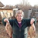  ,   , 62 ,   ,   