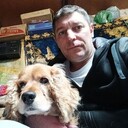 ���������� ���������, ���� ������� ����, 43 ����, ������������ ��� ������, ����� � ���������, c�������� ���������