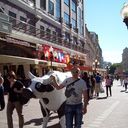 ���������� ������, ���� ������� �������, 39 ���, ������������ ��� ������, ����� � ���������, c�������� ���������