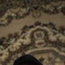 ���������� ���������, ���� ������� ����, 46 ���, ������������ ��� ������, ����� � ���������