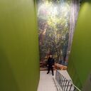 ���������� ������������, ���� ����� �������, 24 ����, ������������ ��� ������, ����� � ���������, c�������� ���������