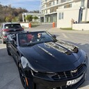 ���������� ������������, ���� ������� �����, 43 ����, ������������ ��� ������, ����� � ���������, c�������� ���������